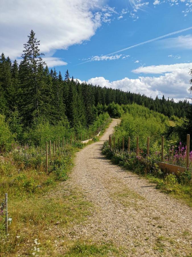 Ferienwohnungen Hebalm Pack Eksteriør bilde